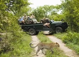 Safari Holidays