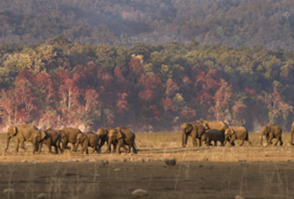 Corbett with Mussoorie